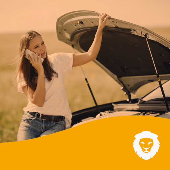 ASSISTÊNCIA 24 HORAS II